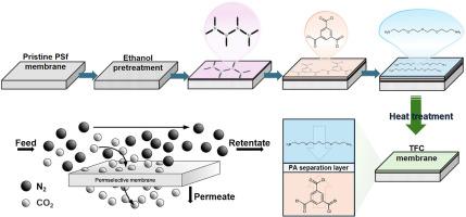 Wet-coating amino-functionalized PDMS interlayer boosting thin film composite membranes for efficient CO2 separation