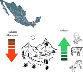 Richness and abundance of ticks associated with domestic animals at different altitudes in Southern Mexico