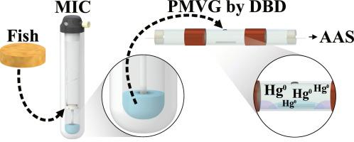 Plasma-mediated mercury vapor generation after microwave-induced combustion of fish tissue with detection by atomic absorption spectrometry