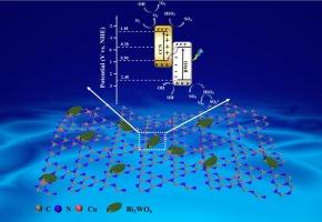 Peroxymonosulfate activation over (Cu+ decorated g-C3N4)/Bi2WO6 composites with S-scheme heterojunction for RhB degradation