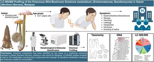 LC-MS/MS profiling of the poisonous wild mushroom, Entoloma mastoideum, (Entolomataceae, Basidiomycota) in Sabah (Northern Borneo), Malaysia