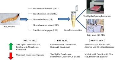 Hibernation changes tissue specific lipophilic profile of Chilo partellus (Swinhoe)