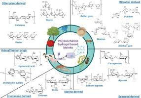 Recent advances in 3D bioprinted polysaccharide hydrogels for biomedical applications: A comprehensive review