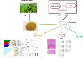 Artemisia argyi polysaccharide ameliorates hyperglycemia through modulating gut microbiota and serum metabolism in type 2 diabetic mice