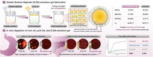 Constructing stable emulsion gel from gelatin and sodium alginate as pork fat substitute: Emphasis on lipid digestion in vitro