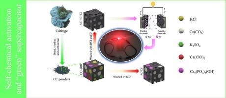 Self-activation of carbons derived from bio-waste cabbage for a green supercapacitor based on seawater electrolyte