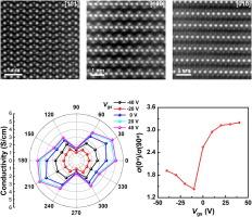 An emerging quaternary semiconductor nanoribbon with gate-tunable anisotropic conductance