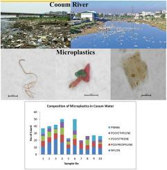 Microplastics in water from the Cooum River, Chennai, India: An assessment of their distribution, composition, and environmental impact