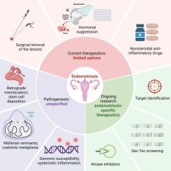 The long road of drug development for endometriosis – Pains, gains, and hopes