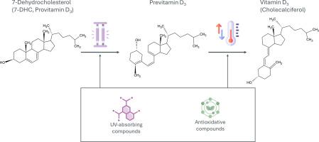 An interplay of light and temperature: Vitamin D3 formation in vitro, a model for in vivo plant studies