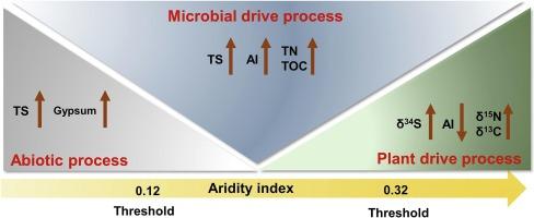 Sulfur biogeochemical dynamics of grassland soils in northern China transect along an aridity gradient