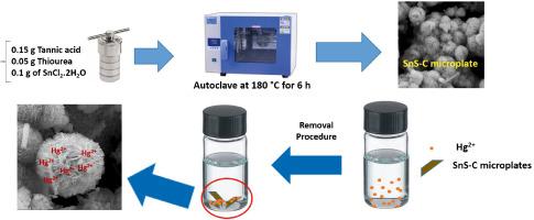 Hydrothermally synthesis of a green SnS-Carbon microplate adsorbent for the removal of mercury ion from water samples