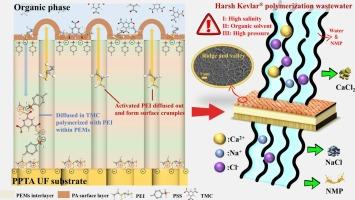 Study on PPTA/PEMs/PA composite NF membranes for highly efficient desalination of high-saline Kevlar® brine and long-term anti-scaling performance