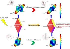 Insights into mechanism of electric field regulating calcium sulfate crystal structure and crystallization: A study by DFT calculation and experiment