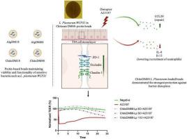 Pectin-based encapsulation systems for the protection of beneficial bacterial species and impact on intestinal barrier function in vitro