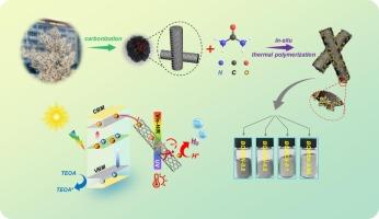 In situ composite of biomass derived carbon/porous carbon nitride and its enhanced performance in solar-driven photocatalytic hydrogen evolution reaction