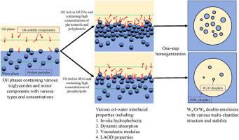 The effects of oil type on the properties of oil-water interfaces and W1/O/W2 double emulsions stabilized by Pleurotus geesteranus protein particles