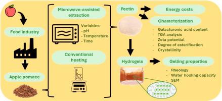 Impacts of microwaves on the pectin extraction from apple pomace: Technological properties in structuring of hydrogels