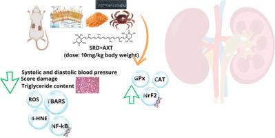 Astaxanthin improves lipotoxicity, lipid peroxidation and oxidative stress in kidney of sucrose-rich diet-fed rats