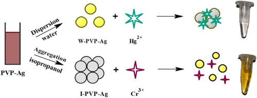 Solvent-based dual detection of Hg2+ and Cr3+ ions by polyvinylpyrrolidone stabilized silver nanoparticles as colorimetric sensor