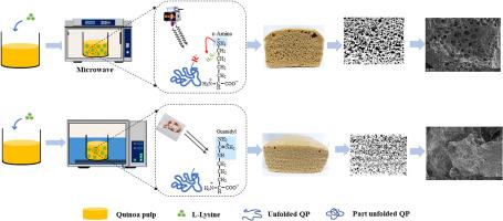 Modulation of textural properties in microwave treated gluten-free quinoa sponge cake by alkaline amino acids