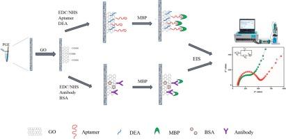 Demyelination detection in CSF based on electrochemical monitoring of myelin basic protein in comparison between Apta vs. Immuno sensing strategies