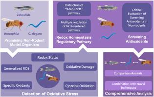 Promising tools into oxidative stress: A review of non-rodent model organisms