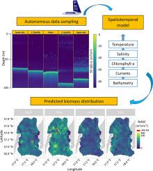 Autonomous data sampling for high-resolution spatiotemporal fish biomass estimates