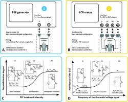 Detection of Gram-positive and Gram-negative bacteria membrane permeabilization induced by pulsed electric field using electrochemical admittance spectroscopy