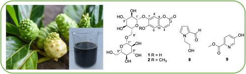 Chemical constituents from noni (Morinda citrifolia L.) fruit juice and their chemotaxonomic significance