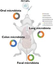 Gut-lung microbiota dynamics in mice exposed to Nanoplastics