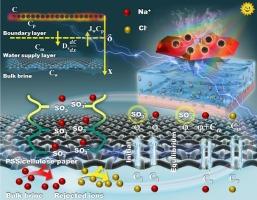 Jellyfish–mimetic solar evaporator with polyelectrolyte skeleton for sustainable desalination under higher salinity