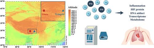 A prospective study on the cardiorespiratory effects of air pollution among residents of the Tibetan Plateau