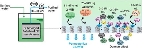 Removal of odorous and nitrogen chemicals by submerged nanofiltration