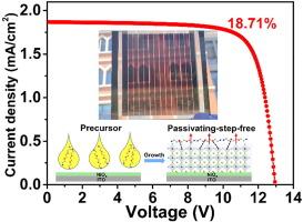 Semi-transparent perovskite solar module through passivating-step-free fabrication