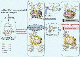 The mechanism of selective separation of stibnite and arsenopyrite by Cu2+ coordination assembly KBX collector