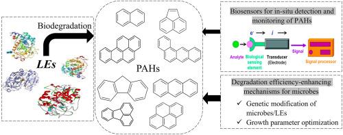 Biodegradation of polycyclic aromatic hydrocarbons: The role of ligninolytic enzymes and advances of biosensors for in-situ monitoring