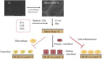 Icariin-loaded multilayered films deposited onto micro/nanostructured titanium enhances osteogenesis and reduces inflammation under diabetic conditions