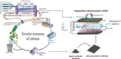 Capacitive lithium capture system using a mixed LiMn2O4 and LiAlO2 material