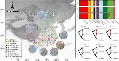 Genome-wide species delimitation and quantification of the extent of introgression in eriophyoid mite Epitrimerus sabinae complex (Acariformes: Eriophyoidea)