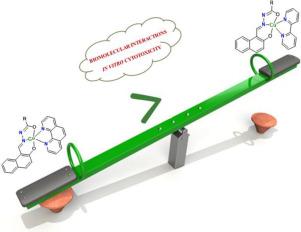 Copper(II) complexes containing hydrazone and bipyridine/phenanthroline ligands for anticancer application against breast cancer cells