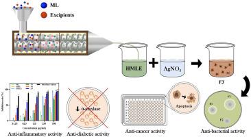 Green synthesis of silver nanoparticles from mulberry leaf through hot melt extrusion: Enhanced antioxidant, antibacterial, anti-inflammatory, antidiabetic, and anticancer properties