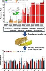 Area-wide survey and monitoring of insecticide resistance in the brown planthopper, Nilaparvata lugens (Stål), from 2020 to 2023 in China