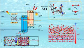 Construction of efficient S-scheme TiO2/Bi3.84W0.16O6.24 heterojunction with abundant O vacancies: Kinetics, performance and mechanism insight