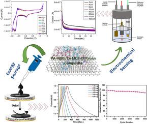 Bifunctional PAni@Bi/Ce metal organic framework-Chitosan composite for electrochemical sensing and energy storage applications