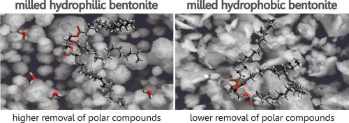 Impact of morphology of hydrophilic and hydrophobic bentonites on improving the pour point in the recycling of waste cooking oils