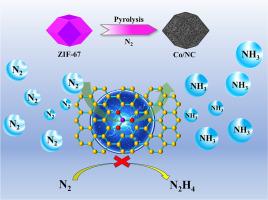 Enhanced ammonia yield rate from nitrogen on collapsed dodecahedral-shaped Co/NC electrocatalyst