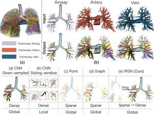 Efficient anatomical labeling of pulmonary tree structures via deep point-graph representation-based implicit fields