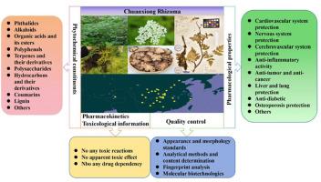 Ethnobotanical usages, phytochemistry, pharmacology, and quality control of chuanxiong rhizoma: A review