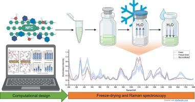 Freeze-drying-induced mutarotation of lactose detected by Raman spectroscopy